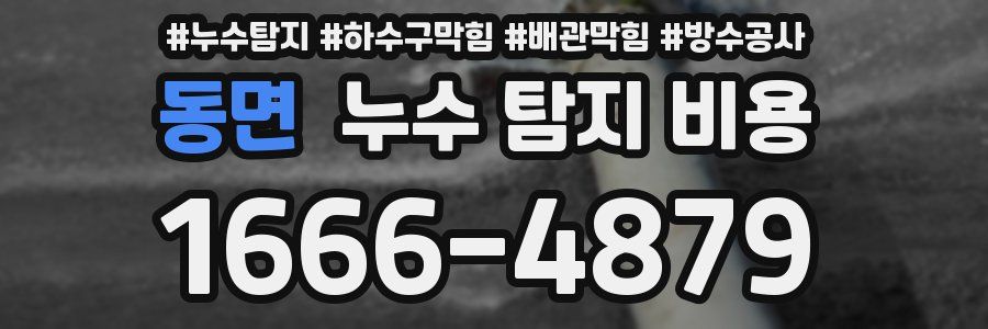 동면 누수 탐지 비용