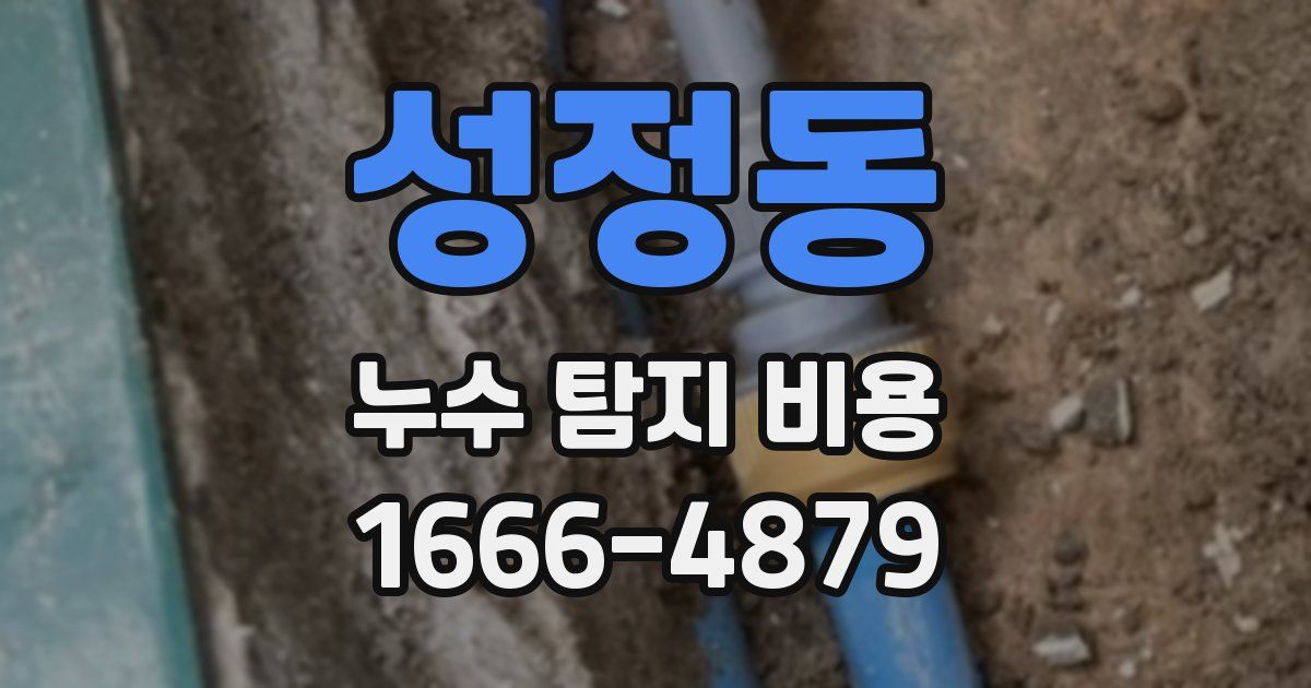 성정동 누수 탐지 비용