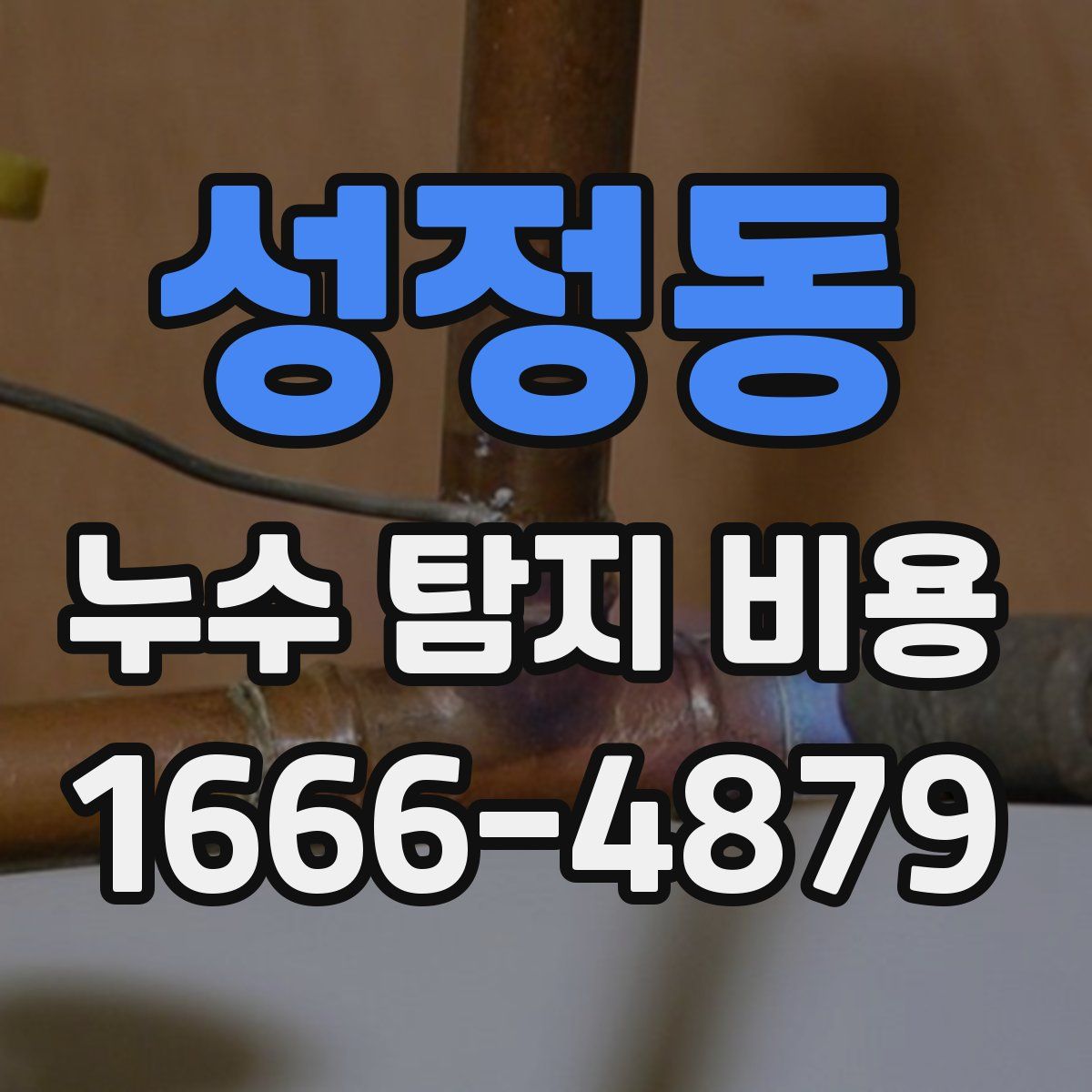 성정동 누수 탐지 비용