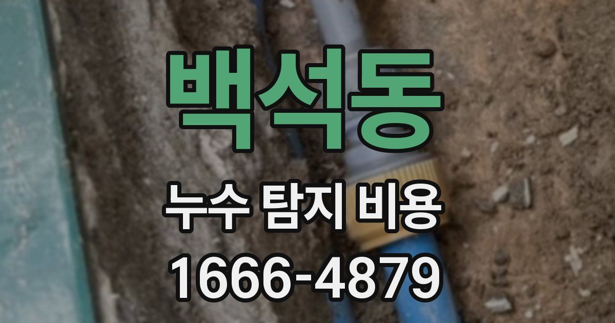 백석동 누수 탐지 비용