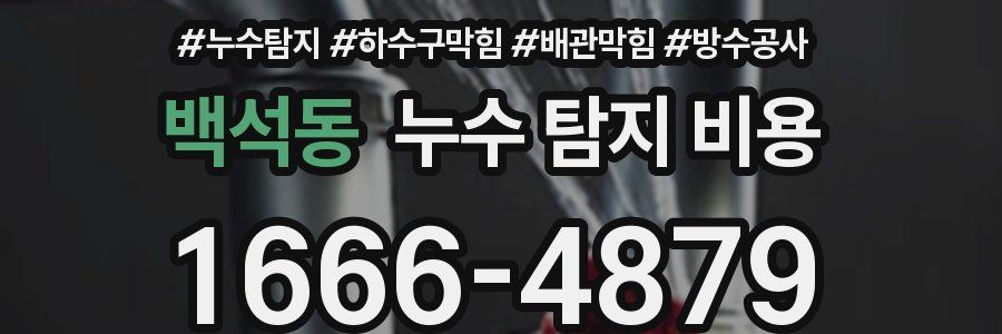 백석동 누수 탐지 비용