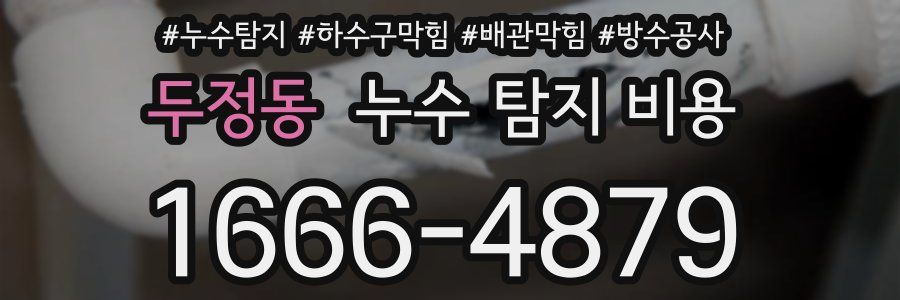 두정동 누수 탐지 비용