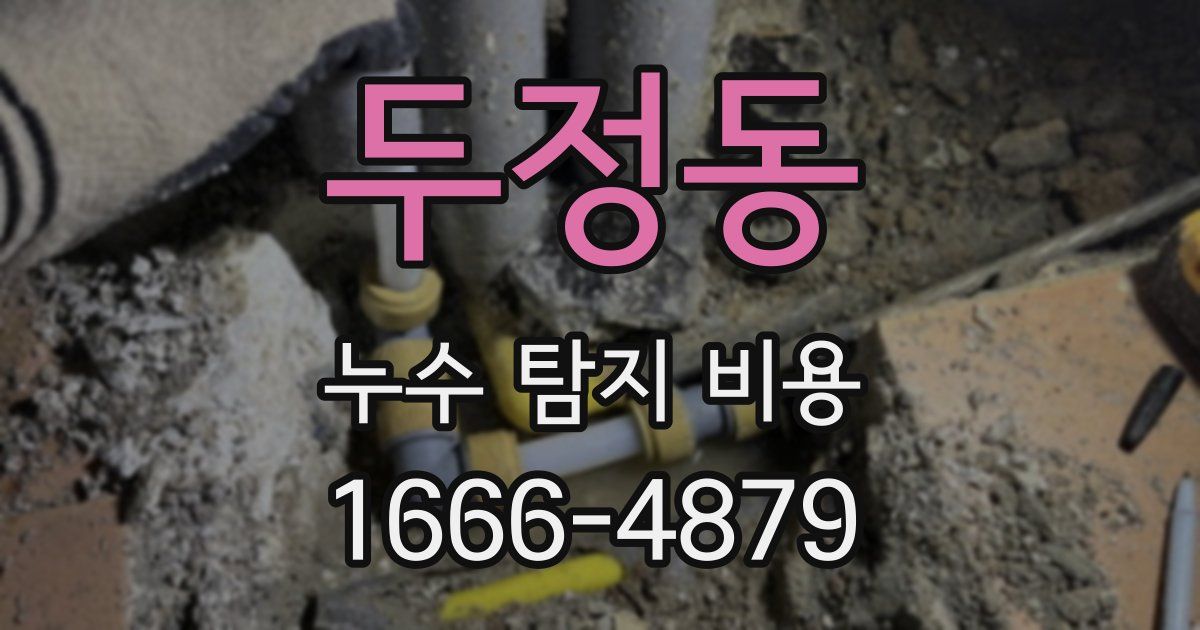 두정동 누수 탐지 비용