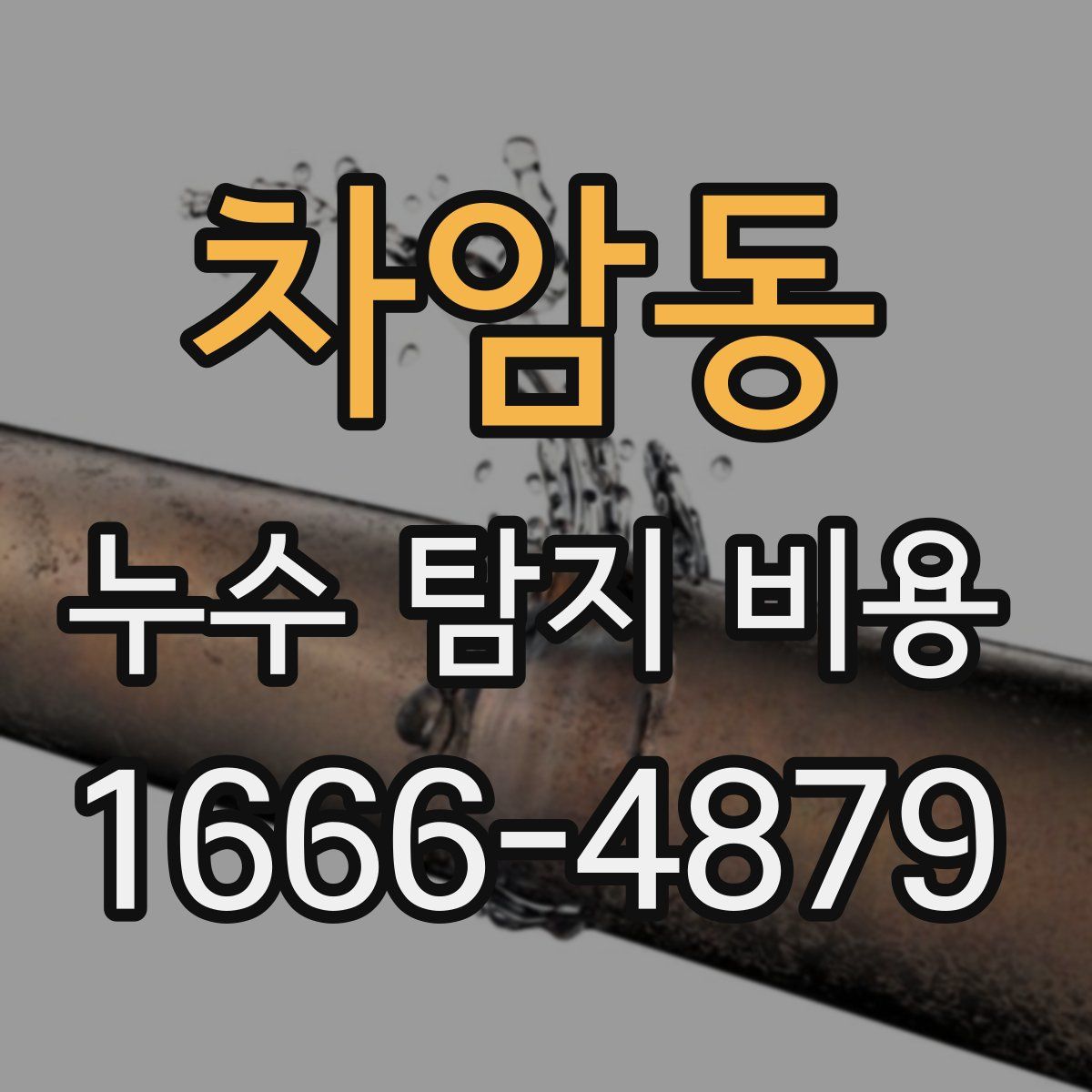 차암동 누수 탐지 비용