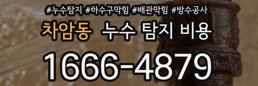 차암동 누수 탐지 비용