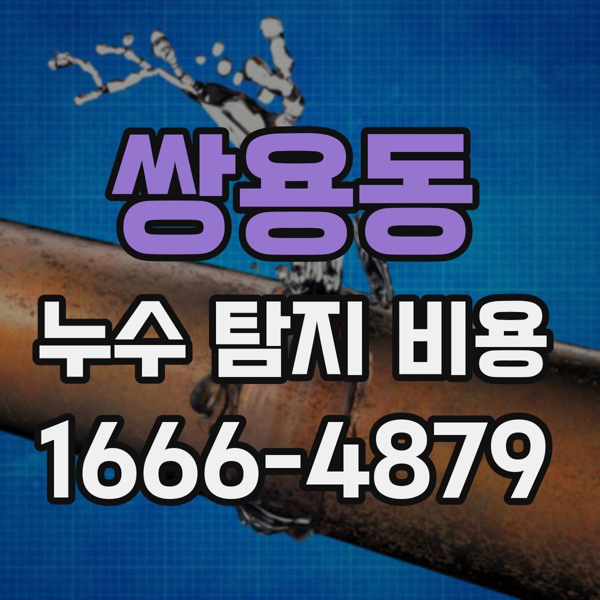 쌍용동 누수 탐지 비용