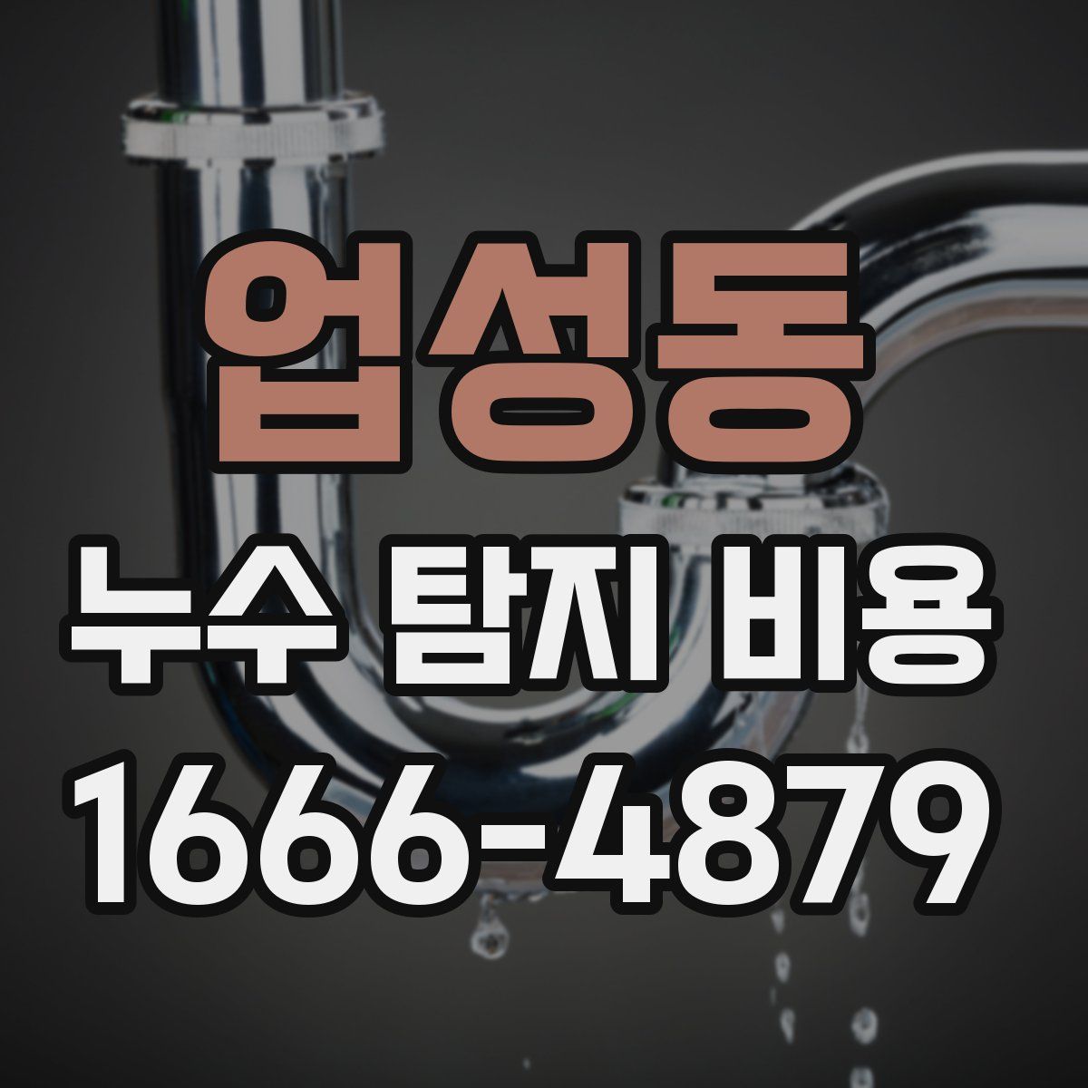 업성동 누수 탐지 비용