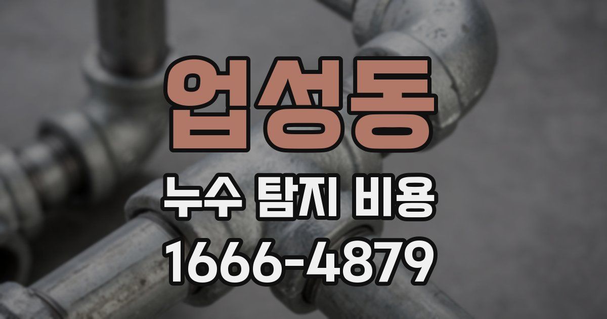 업성동 누수 탐지 비용