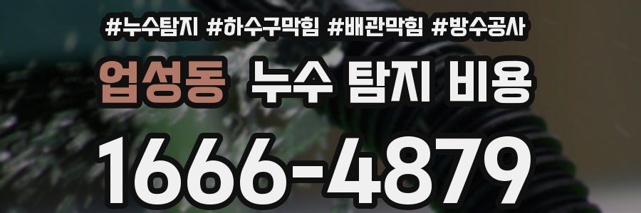 업성동 누수 탐지 비용