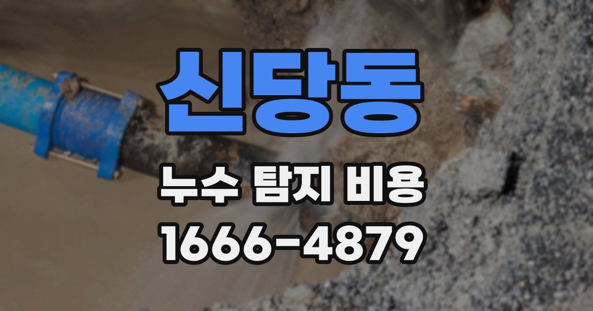 신당동 누수 탐지 비용
