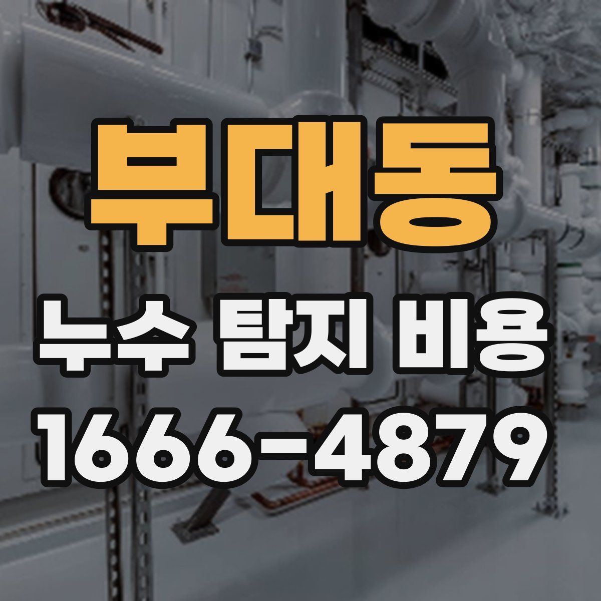 부대동 누수 탐지 비용