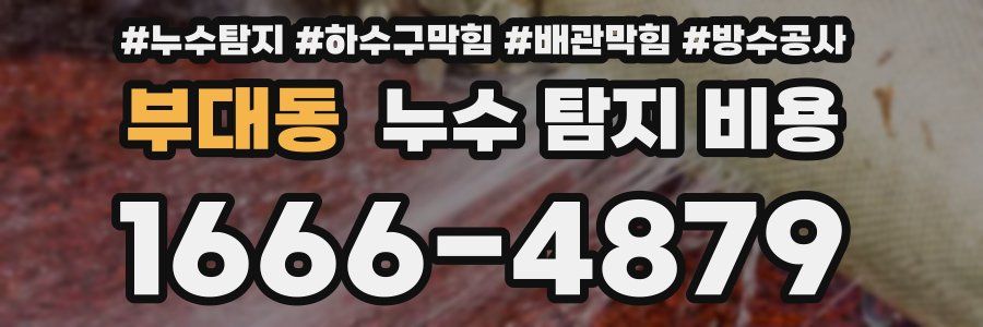 부대동 누수 탐지 비용