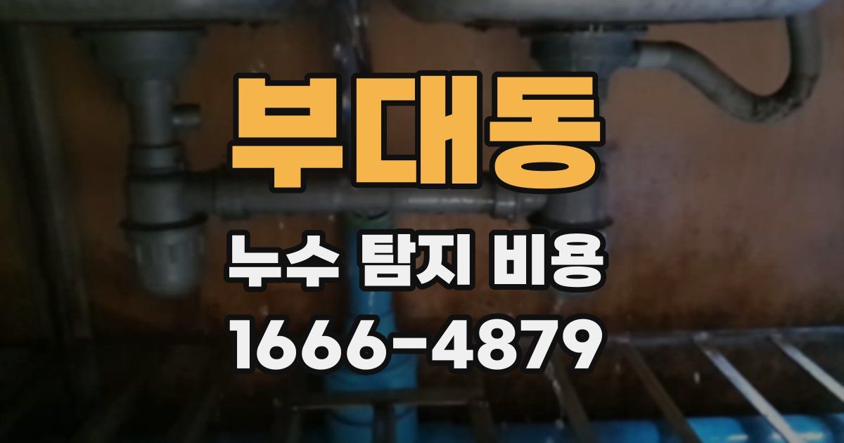 부대동 누수 탐지 비용
