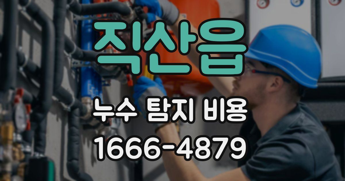 직산읍 누수 탐지 비용
