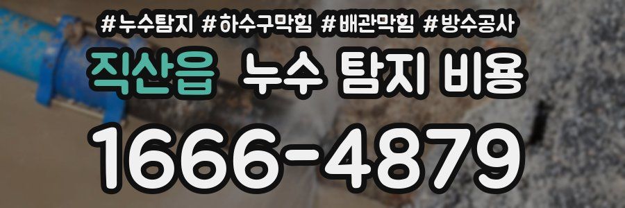직산읍 누수 탐지 비용