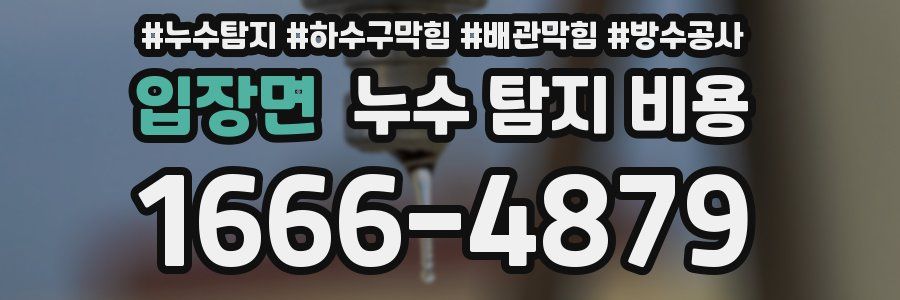 입장면 누수 탐지 비용