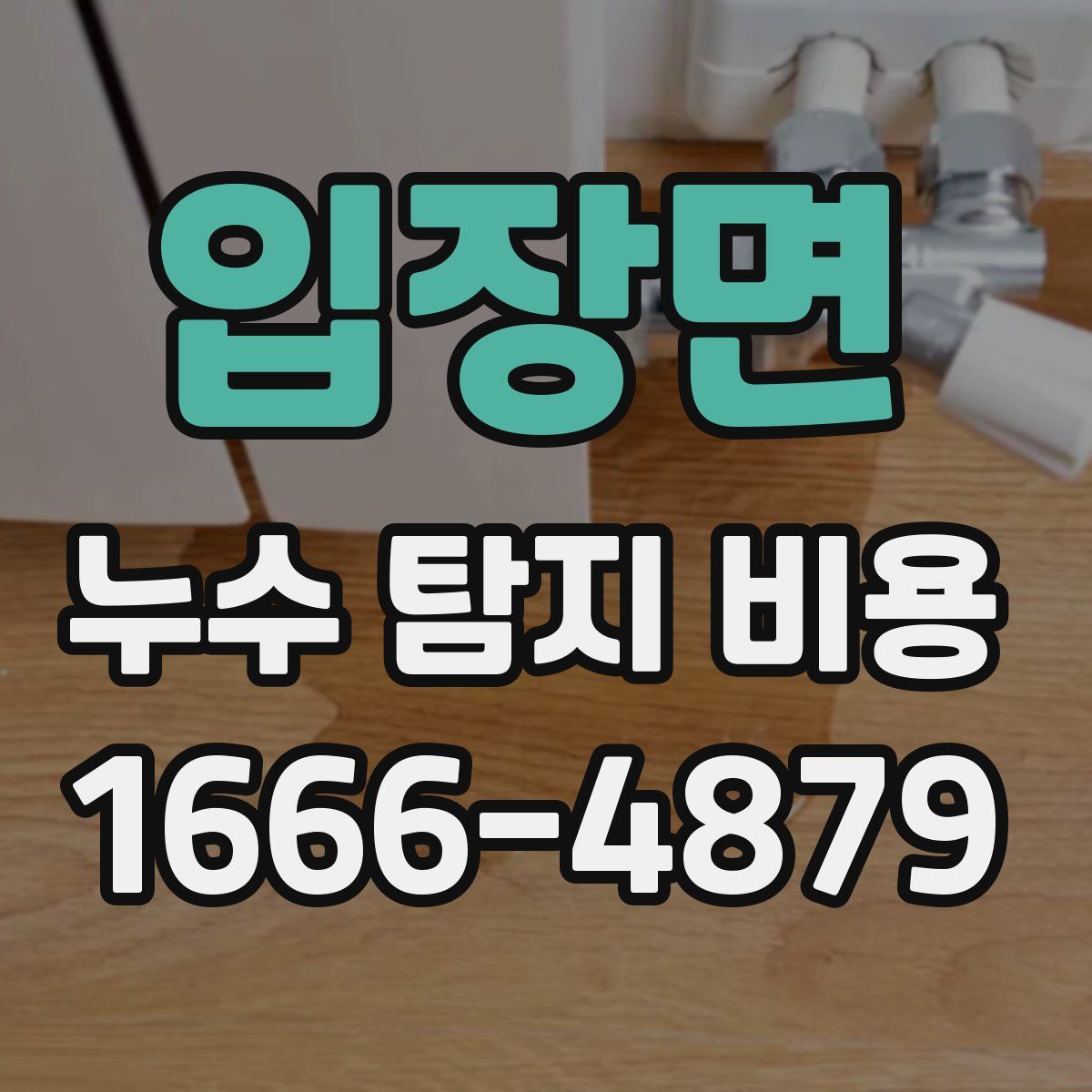 입장면 누수 탐지 비용