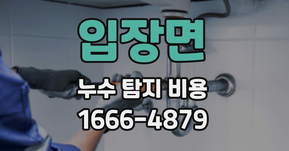 입장면 누수 탐지 비용