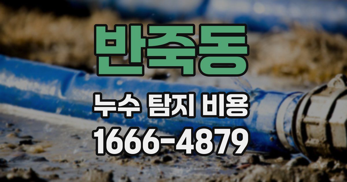 반죽동 누수 탐지 비용