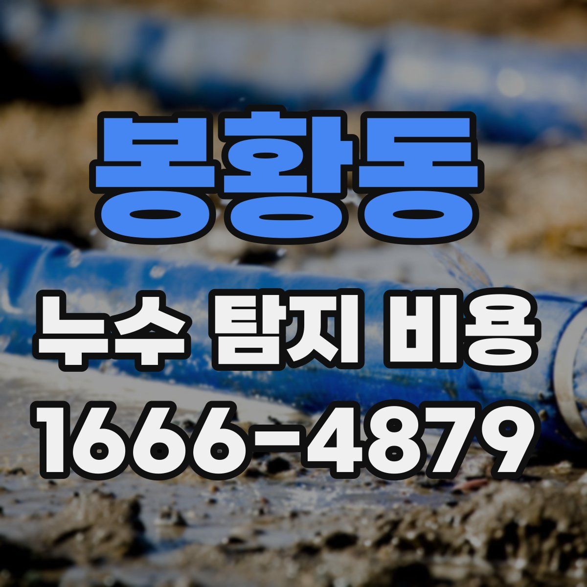 봉황동 누수 탐지 비용
