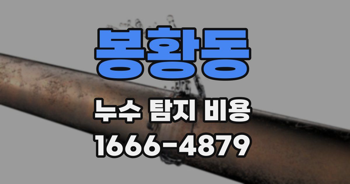 봉황동 누수 탐지 비용