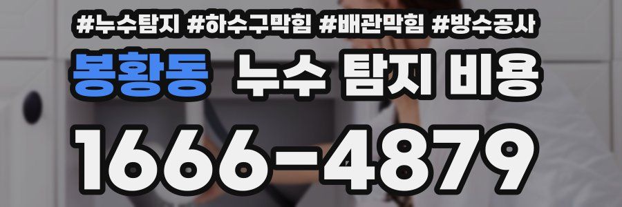 봉황동 누수 탐지 비용