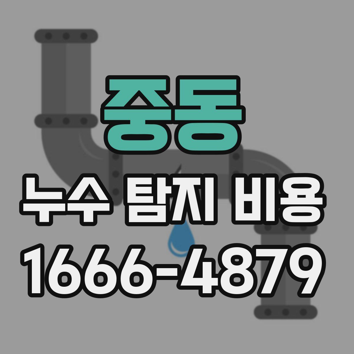 중동 누수 탐지 비용