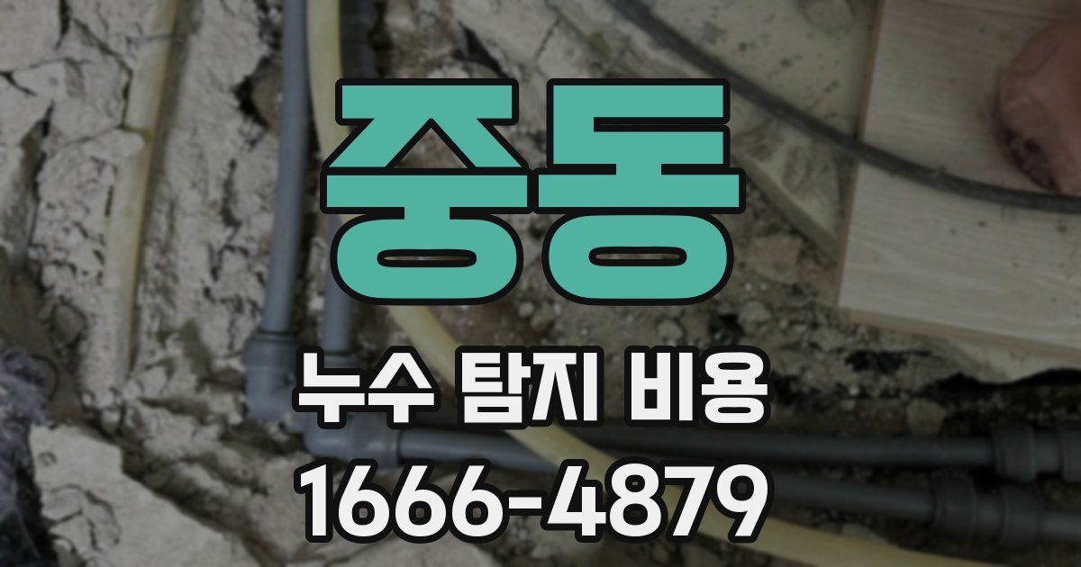 중동 누수 탐지 비용