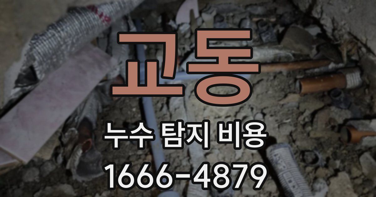교동 누수 탐지 비용