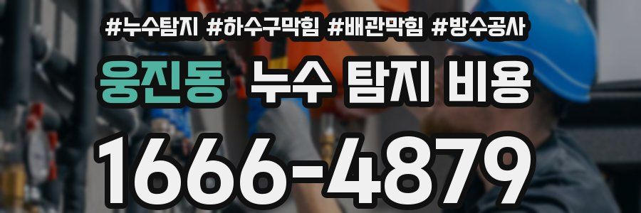 웅진동 누수 탐지 비용