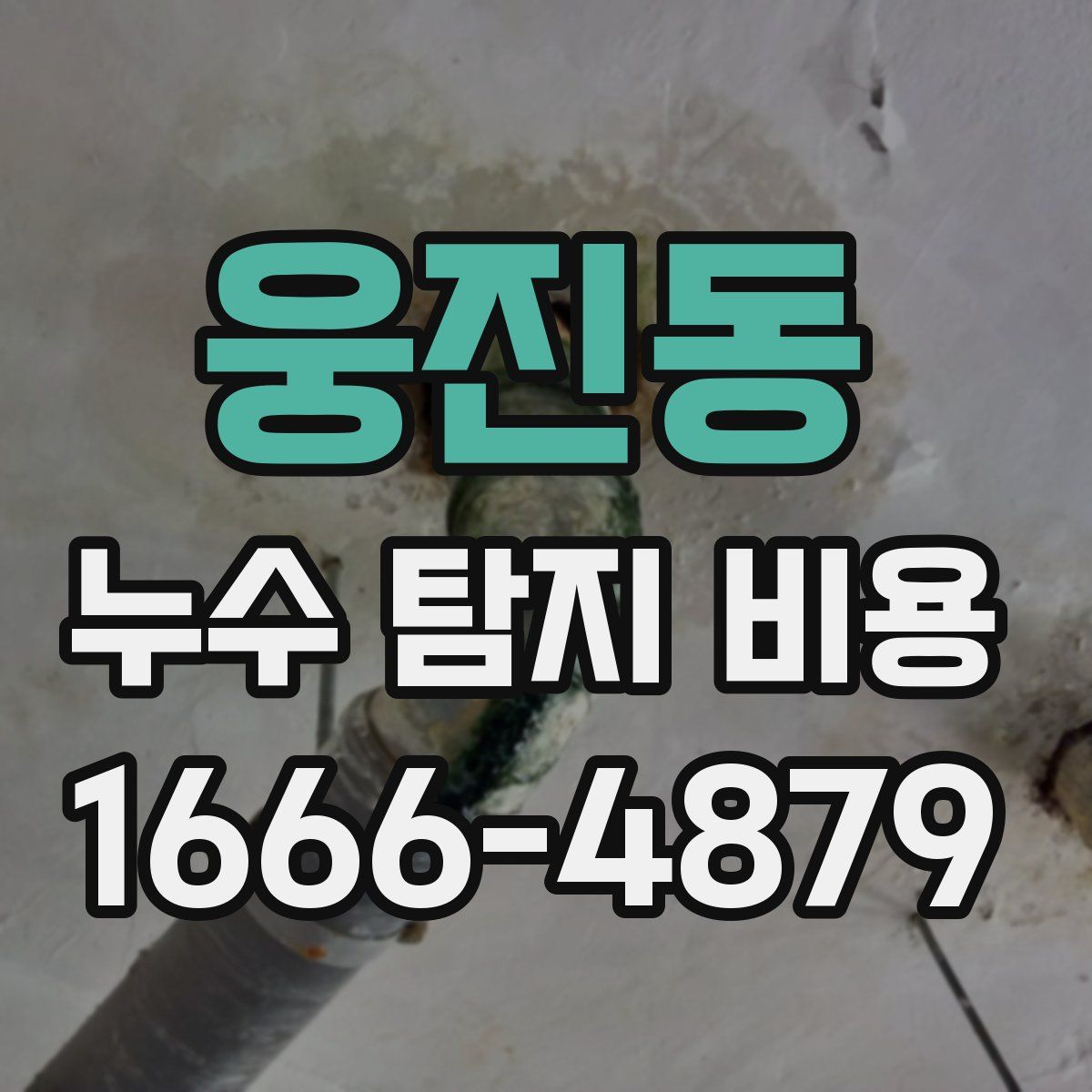 웅진동 누수 탐지 비용