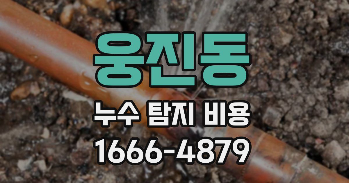 웅진동 누수 탐지 비용