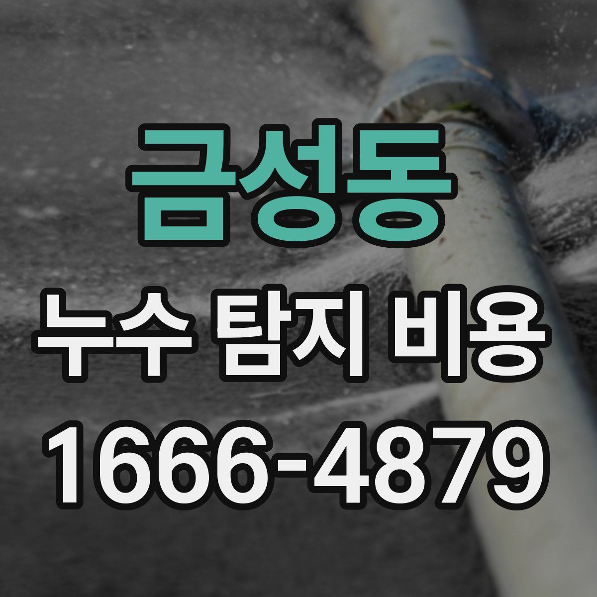 금성동 누수 탐지 비용