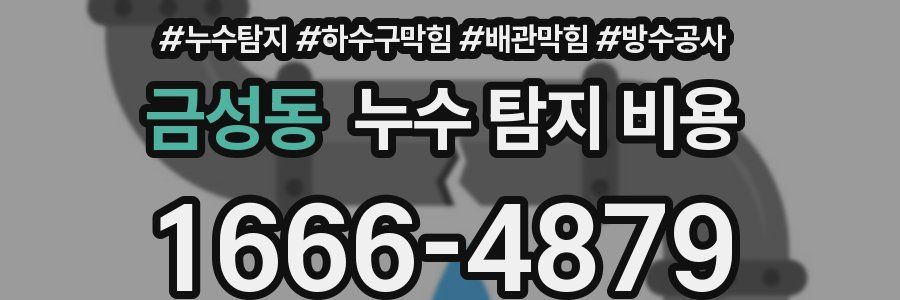 금성동 누수 탐지 비용