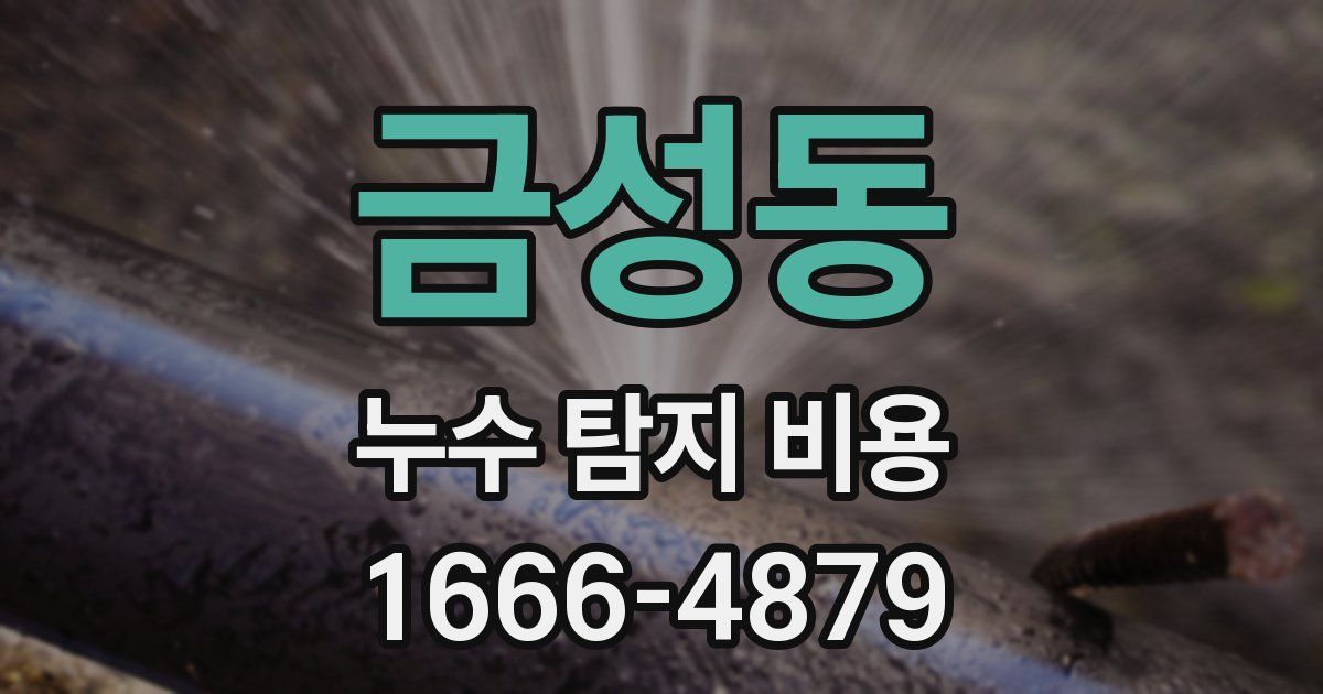 금성동 누수 탐지 비용