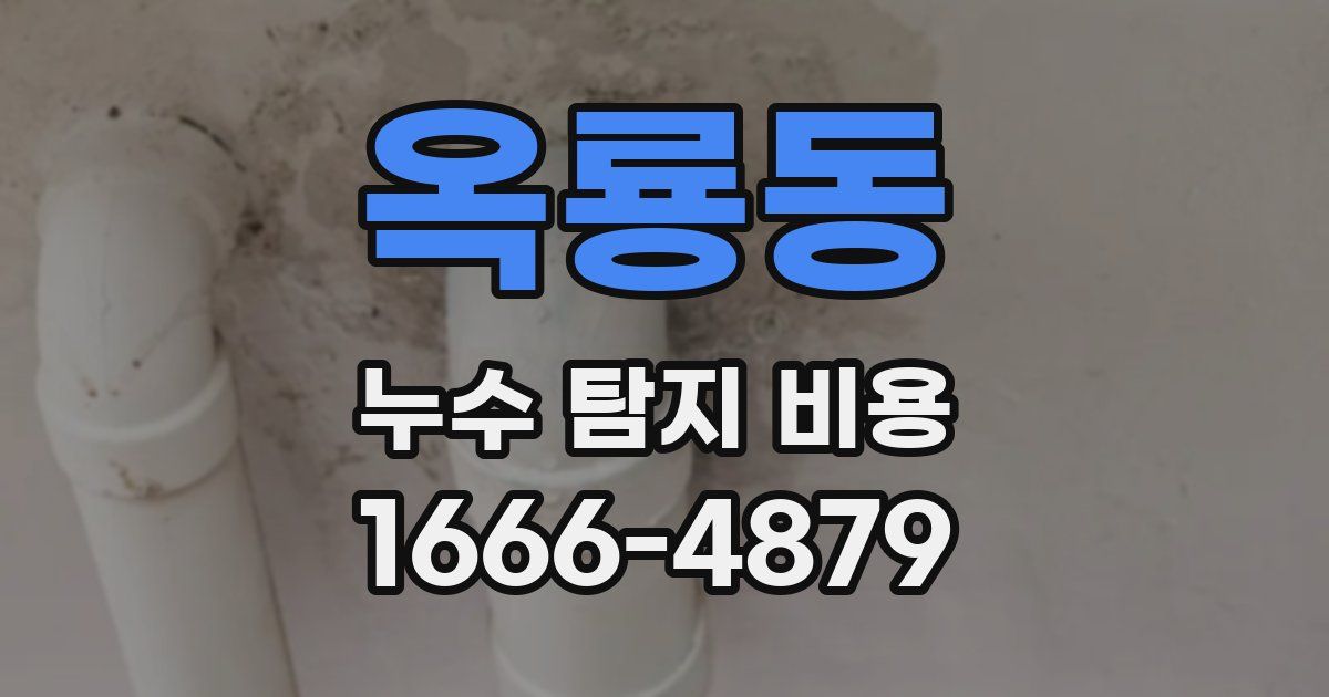 옥룡동 누수 탐지 비용