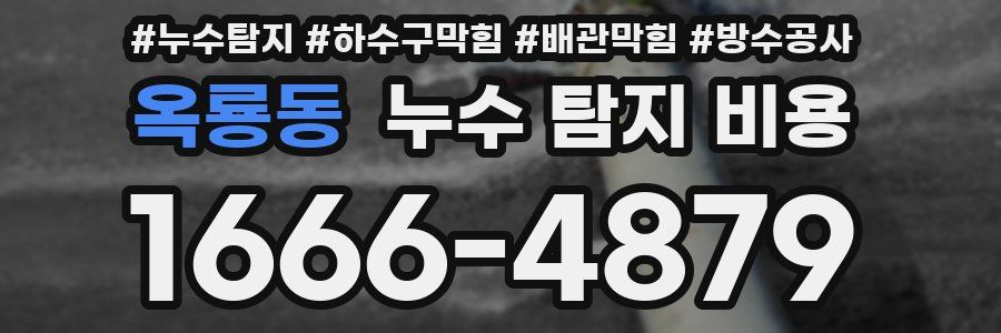 옥룡동 누수 탐지 비용