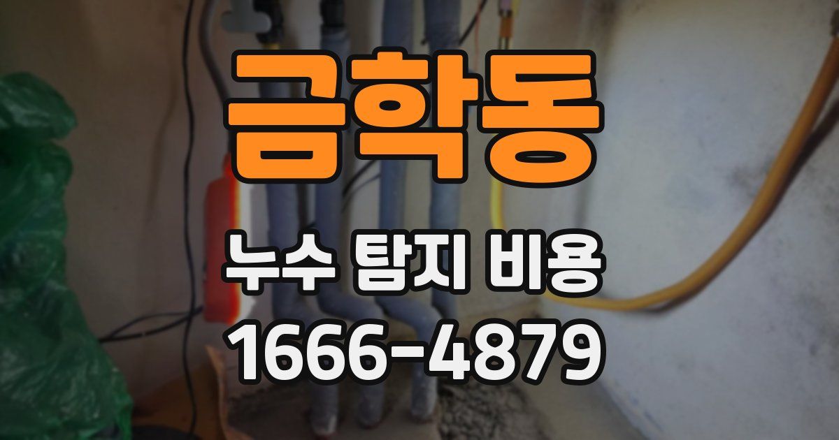 금학동 누수 탐지 비용