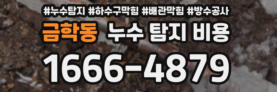 금학동 누수 탐지 비용