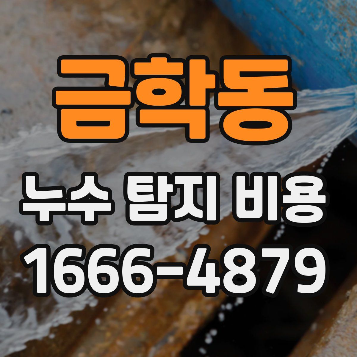금학동 누수 탐지 비용
