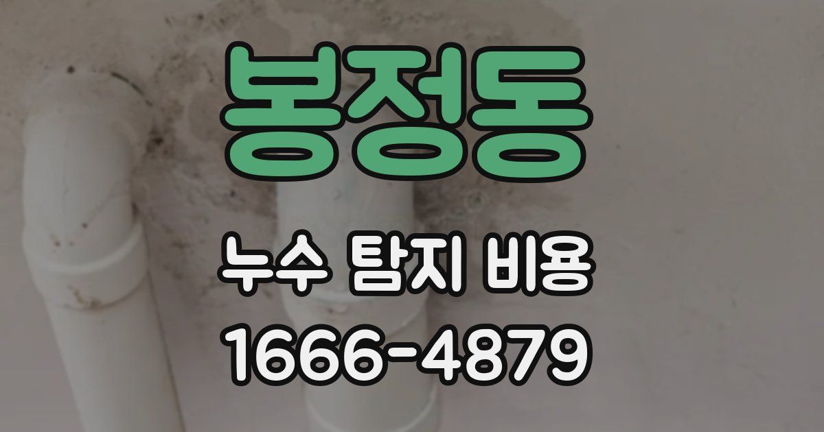 봉정동 누수 탐지 비용