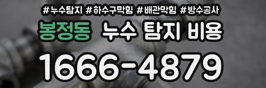 봉정동 누수 탐지 비용