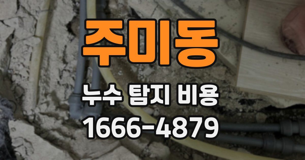 주미동 누수 탐지 비용