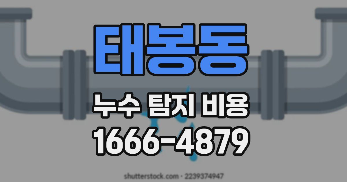 태봉동 누수 탐지 비용