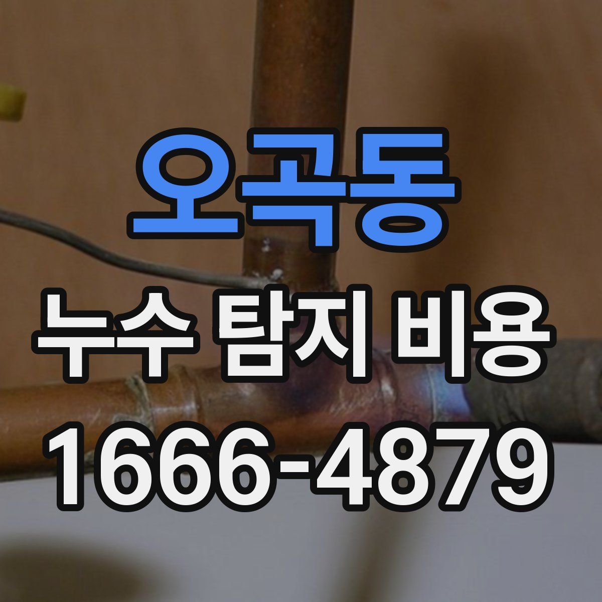 오곡동 누수 탐지 비용