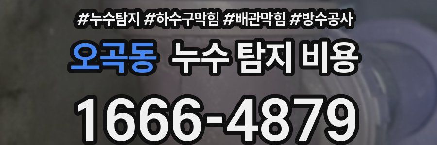오곡동 누수 탐지 비용