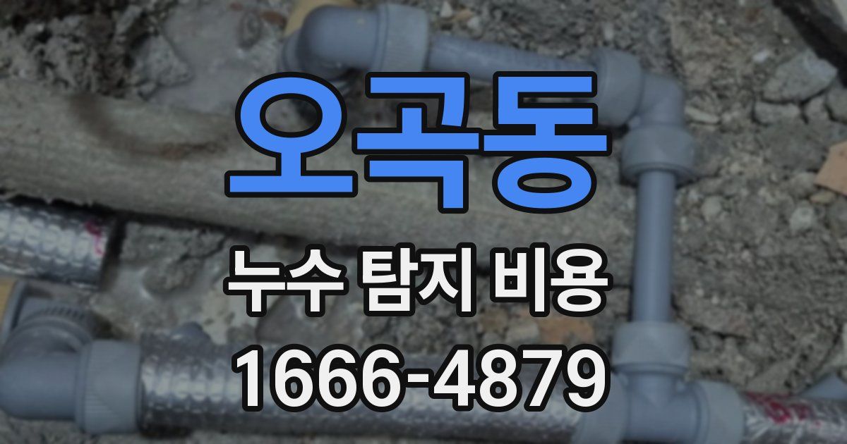 오곡동 누수 탐지 비용