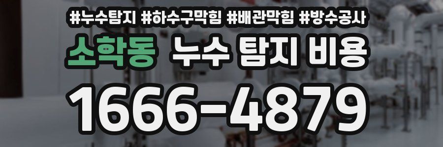 소학동 누수 탐지 비용