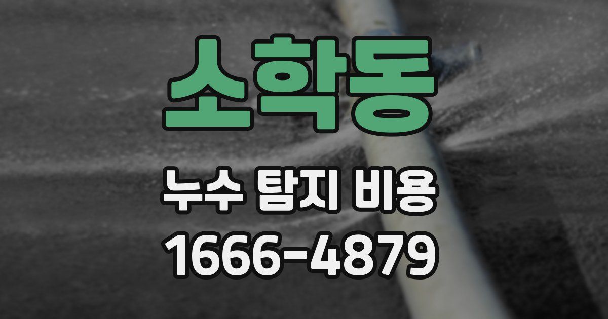 소학동 누수 탐지 비용