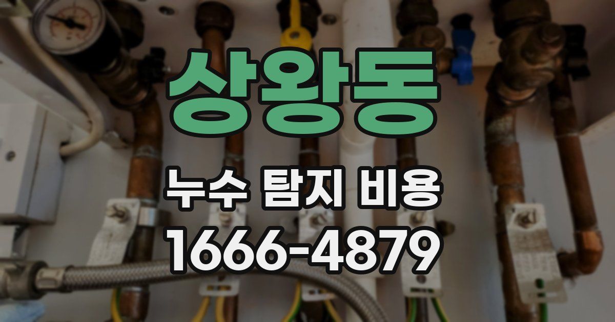 상왕동 누수 탐지 비용